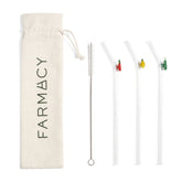 Fruitful Sips Glass Straw Set